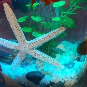 Meet your Posher, Yvette